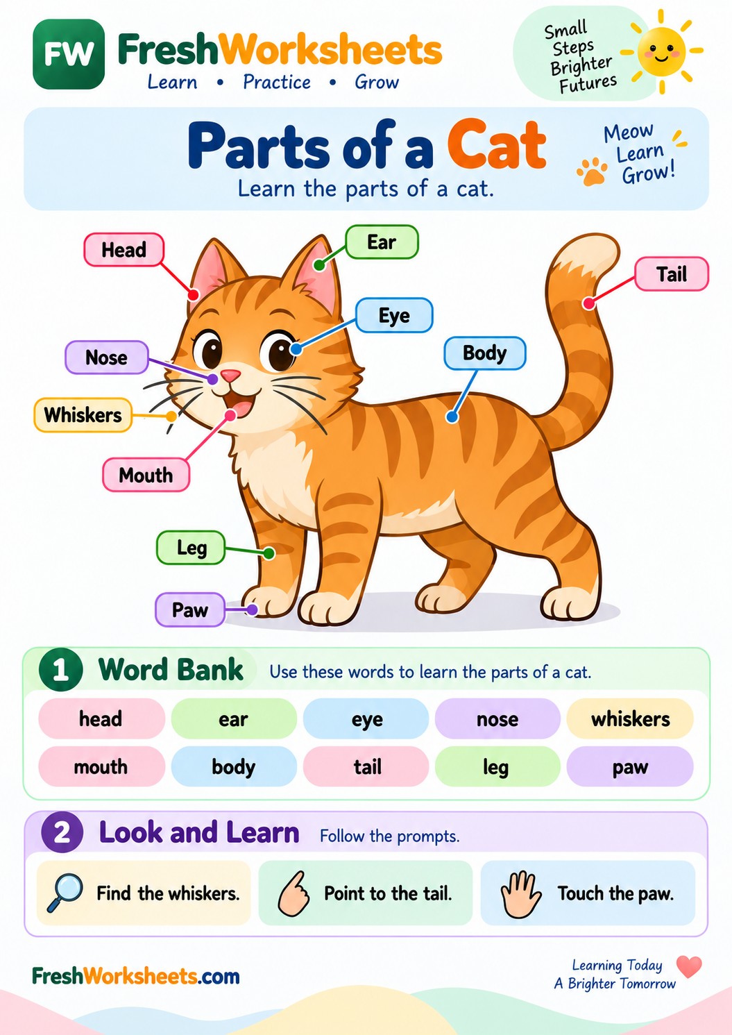 Free printable Parts of a Cat worksheet PDF for kids