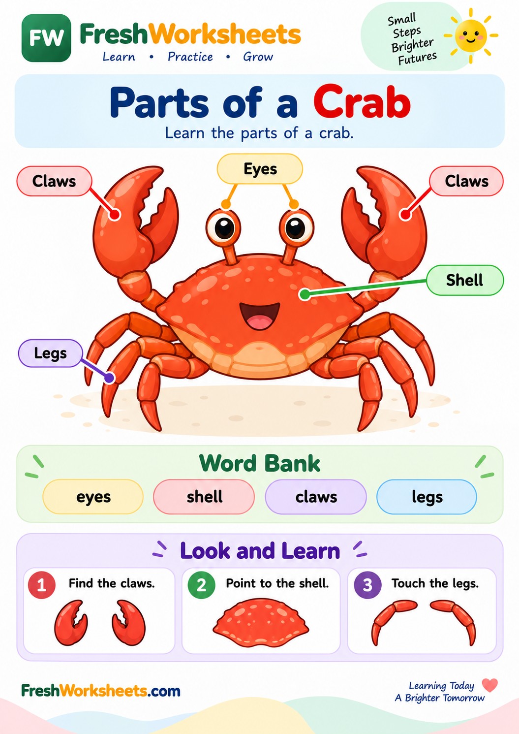 Free printable Parts of a Crab worksheet PDF for kids