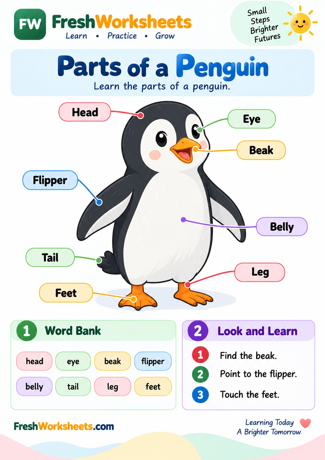 Free printable Parts of a Penguin worksheet PDF for kids