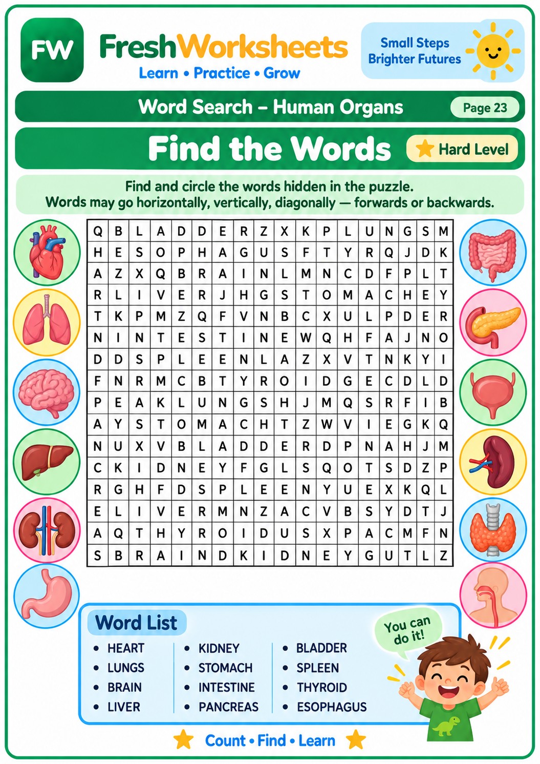 Free printable Human Organs Word Search worksheet PDF for kids